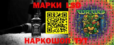 гидропоника Кулебаки